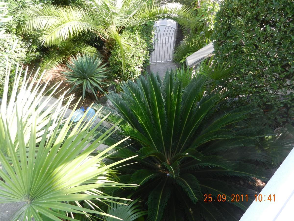 Apartments Sino More Tivat Exterior foto